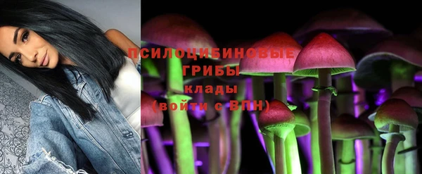 2c-b Михайловск