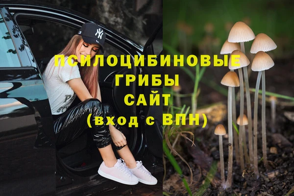метадон Михайловка