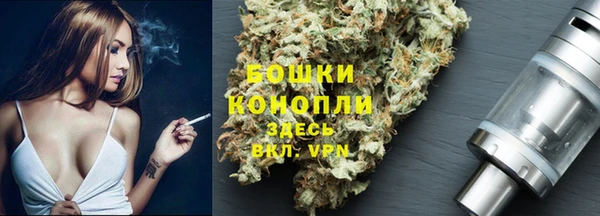 СК Михайлов