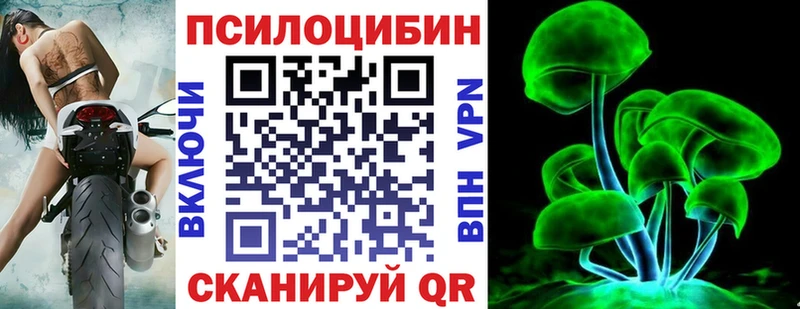 Галлюциногенные грибы Psilocybine cubensis  ОМГ ОМГ сайт  Клин 