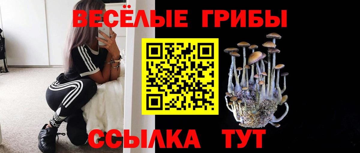 Псилоцибиновые грибы Psilocybine cubensis Клин