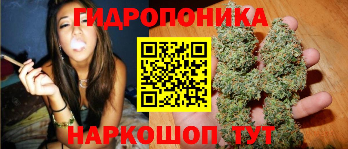 Бошки Шишки марихуана Клин